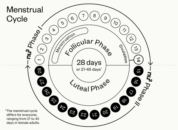 Le cycle menstruel de la femme