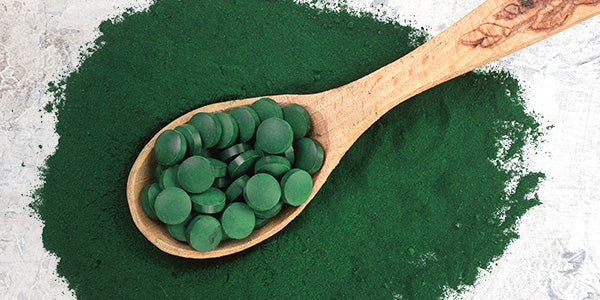 Chlorella en poudre et en comprimés sur une cuillère en bois